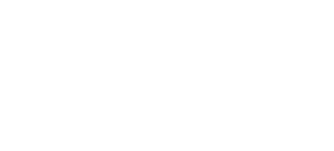 Magnética branding y diseño web
